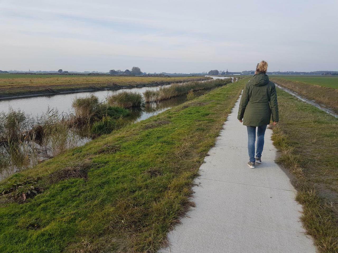 Friesland & Blick Auf Den Horizont