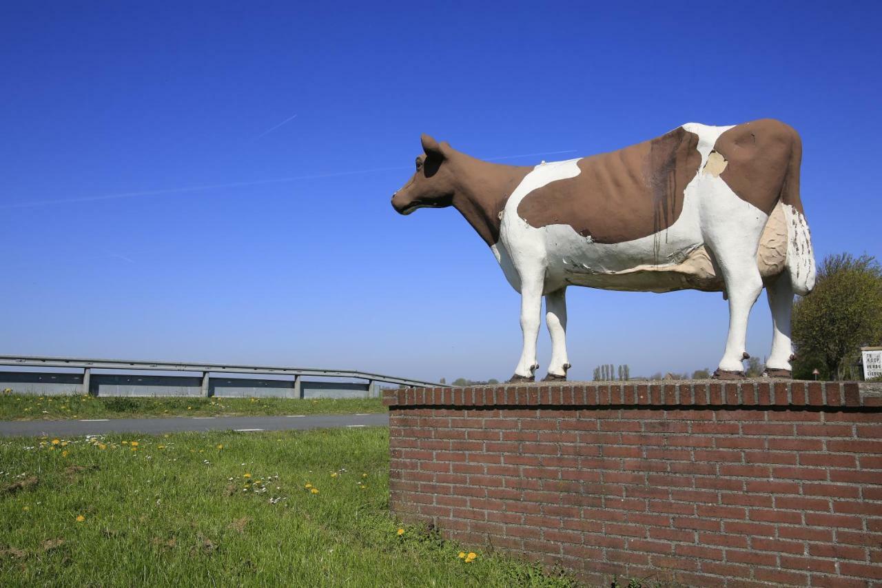 Villa Friesland & Blick Auf Den Horizont Tzummarum